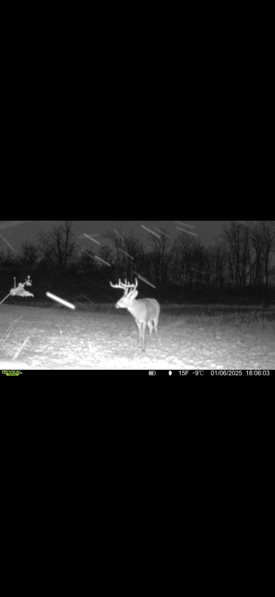 924 Eris Road, Urbana, Ohio 43078