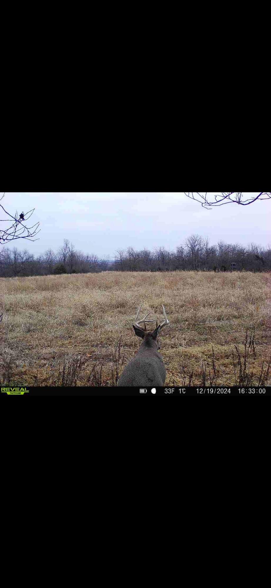 924 Eris Road, Urbana, Ohio 43078