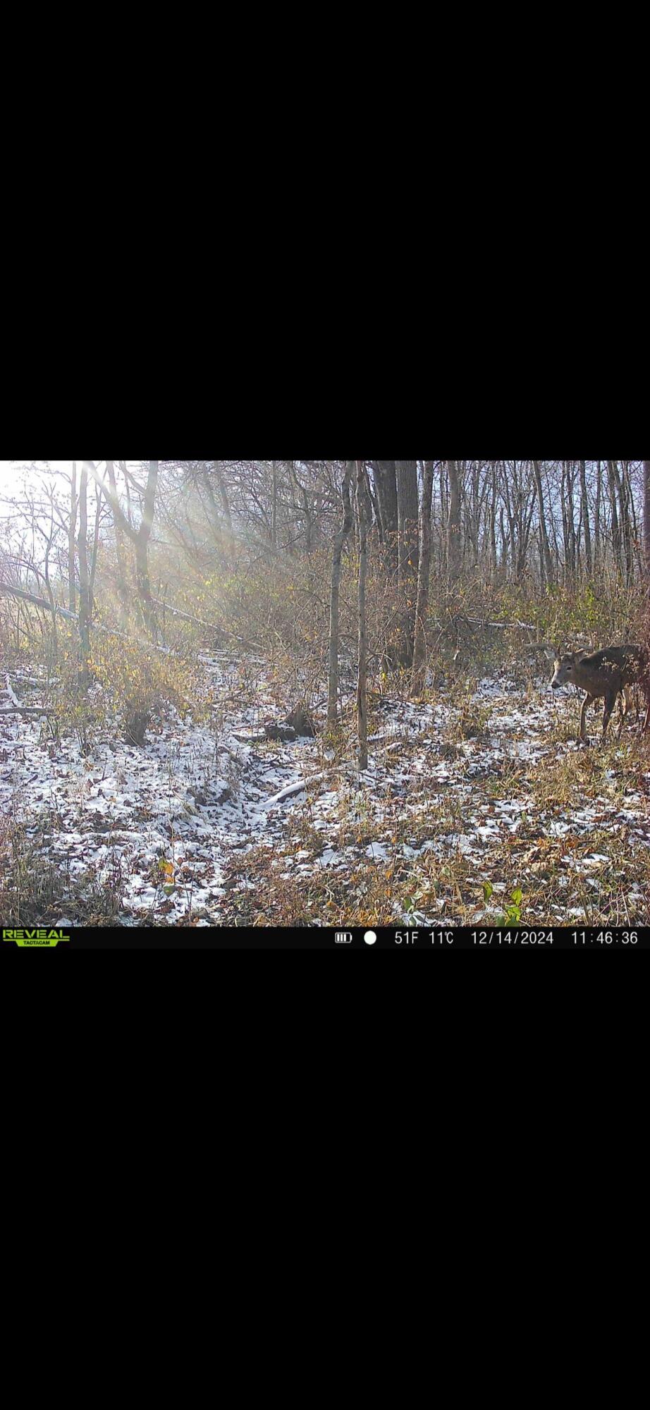 924 Eris Road, Urbana, Ohio 43078