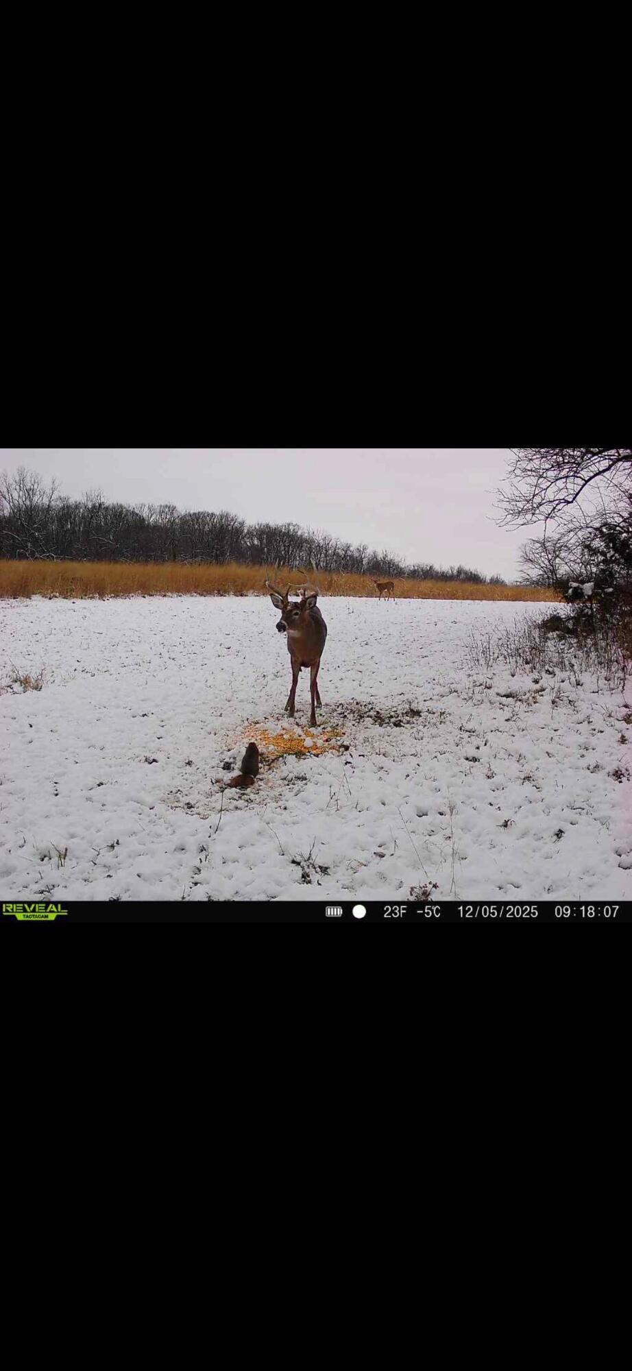 924 Eris Road, Urbana, Ohio 43078