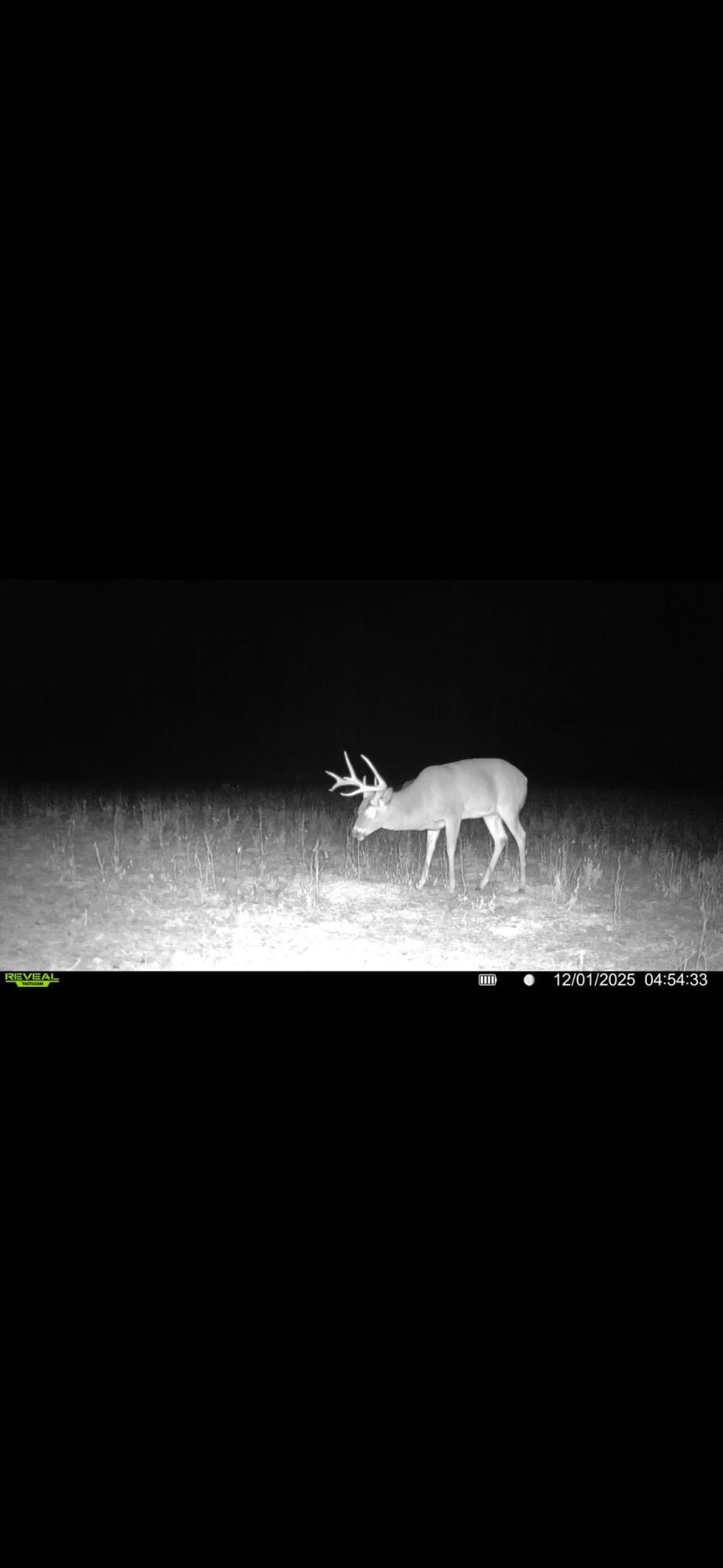 924 Eris Road, Urbana, Ohio 43078