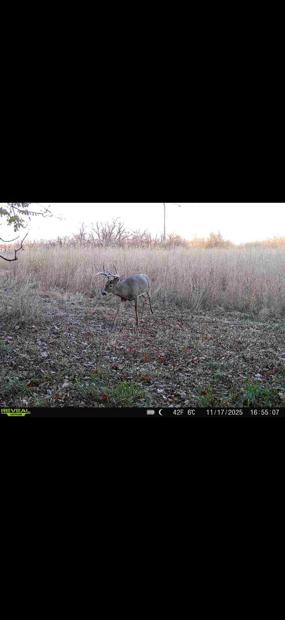 924 Eris Road, Urbana, Ohio 43078