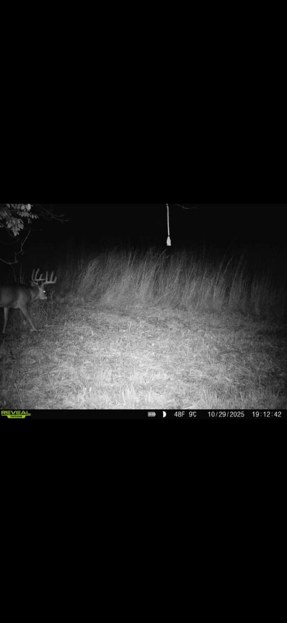 924 Eris Road, Urbana, Ohio 43078