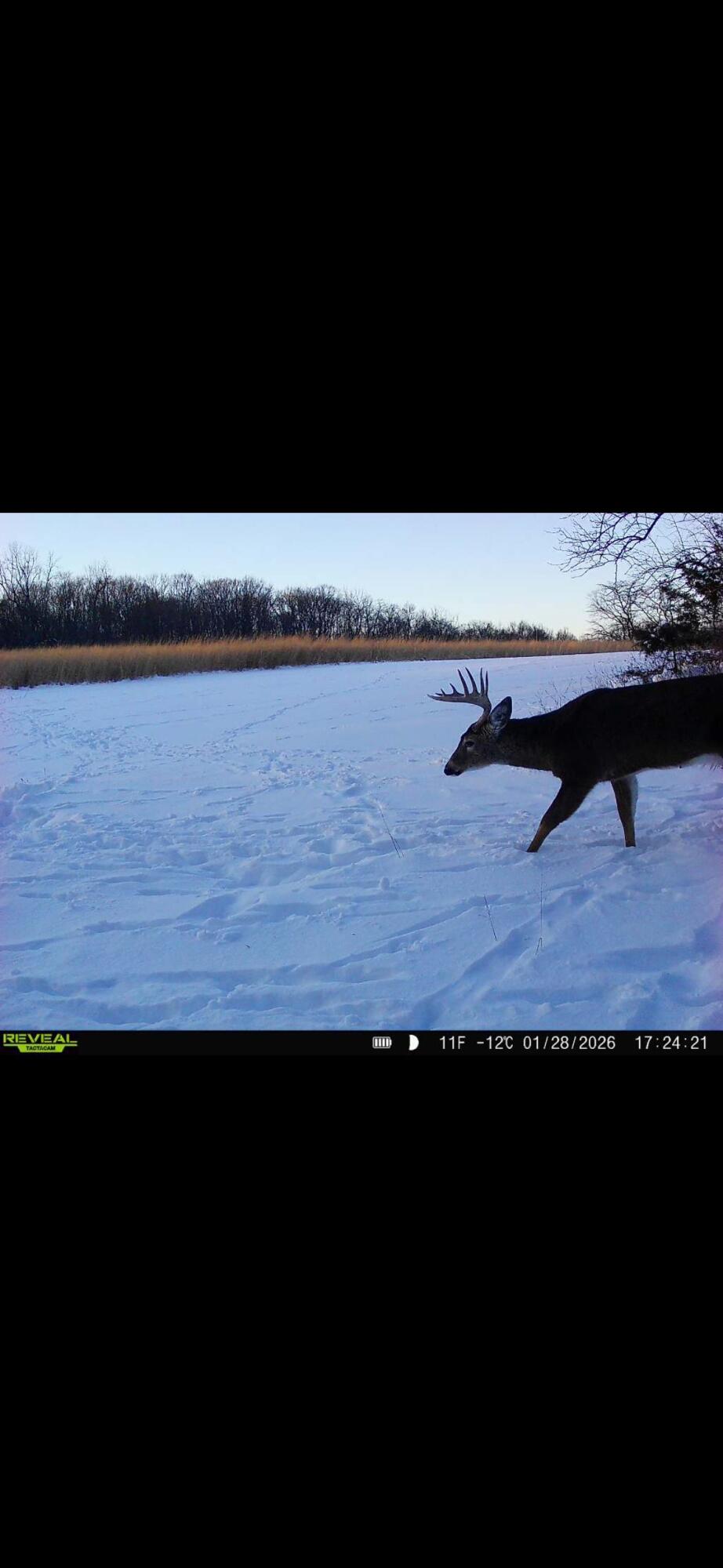 924 Eris Road, Urbana, Ohio 43078