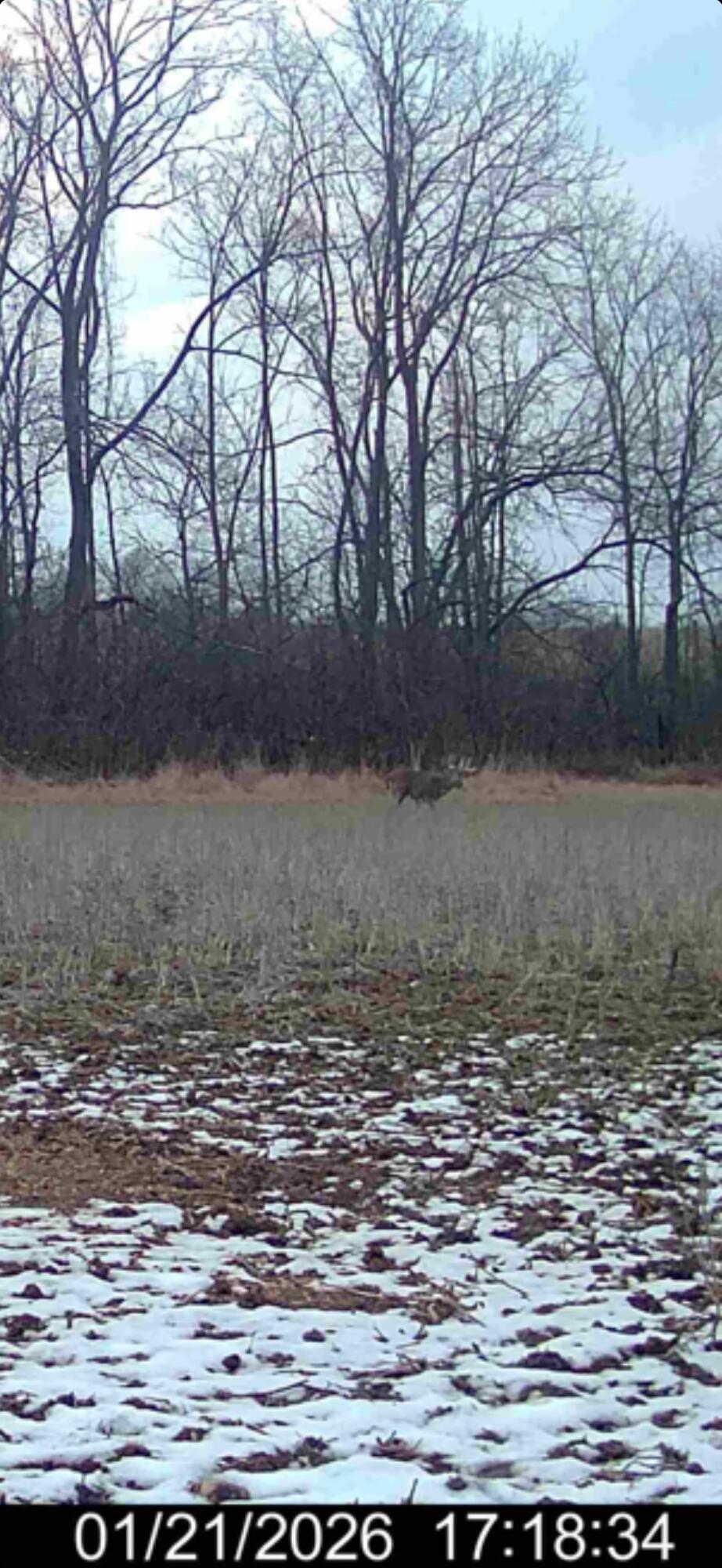 924 Eris Road, Urbana, Ohio 43078