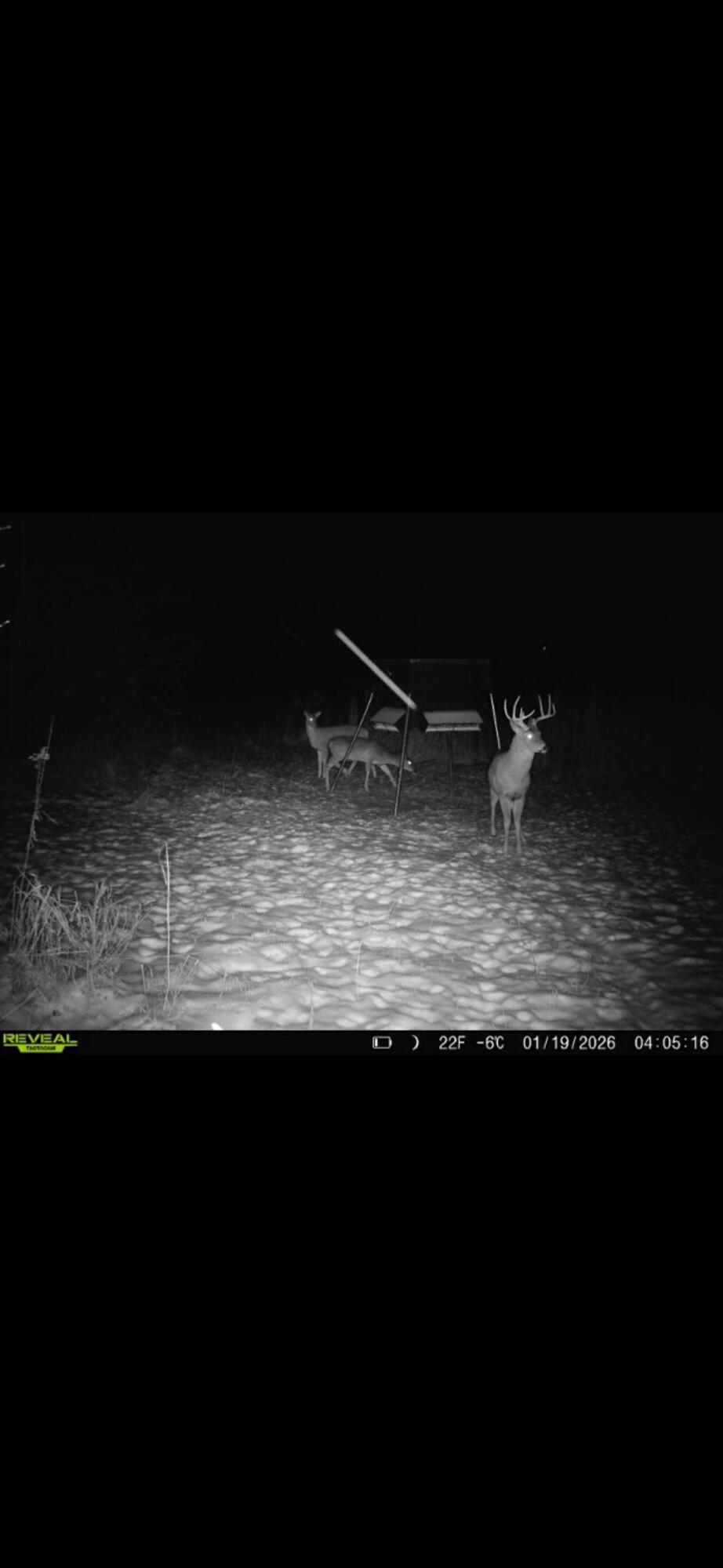 924 Eris Road, Urbana, Ohio 43078