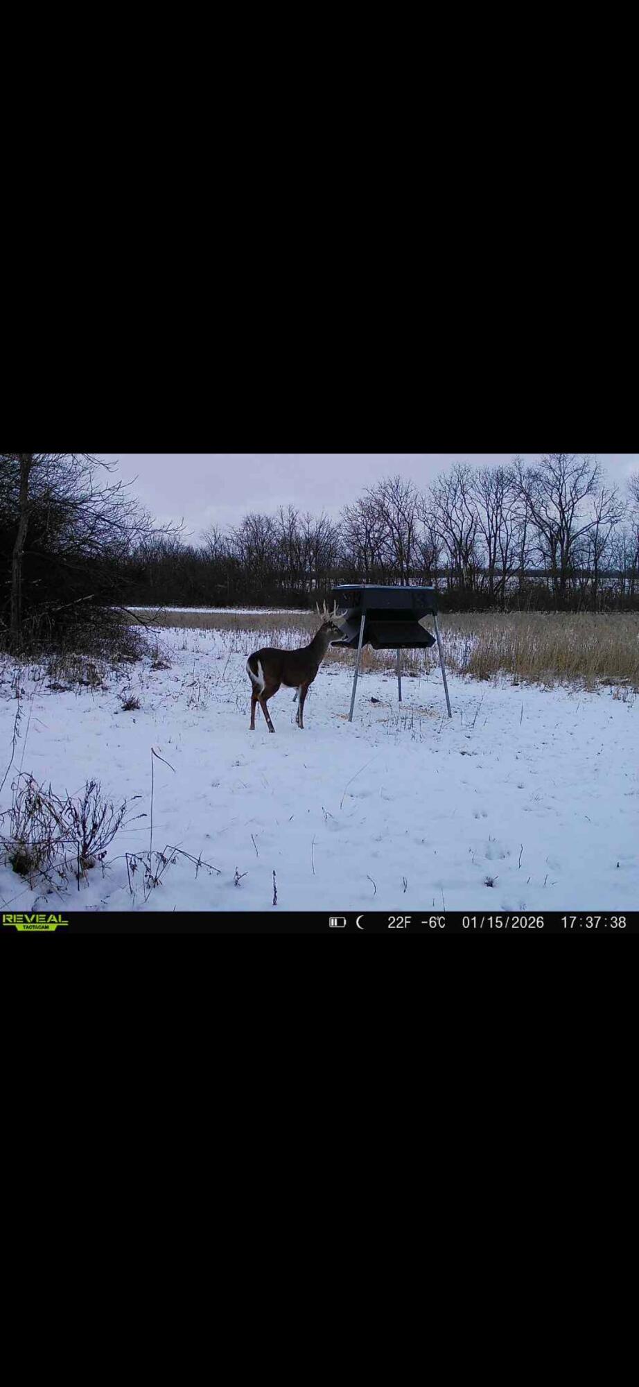 924 Eris Road, Urbana, Ohio 43078