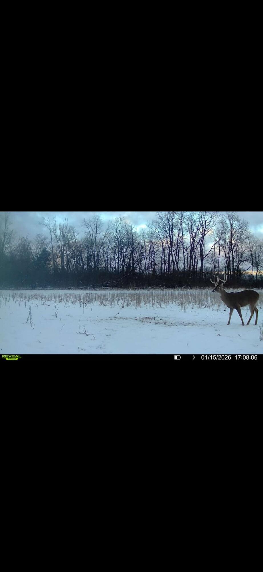 924 Eris Road, Urbana, Ohio 43078