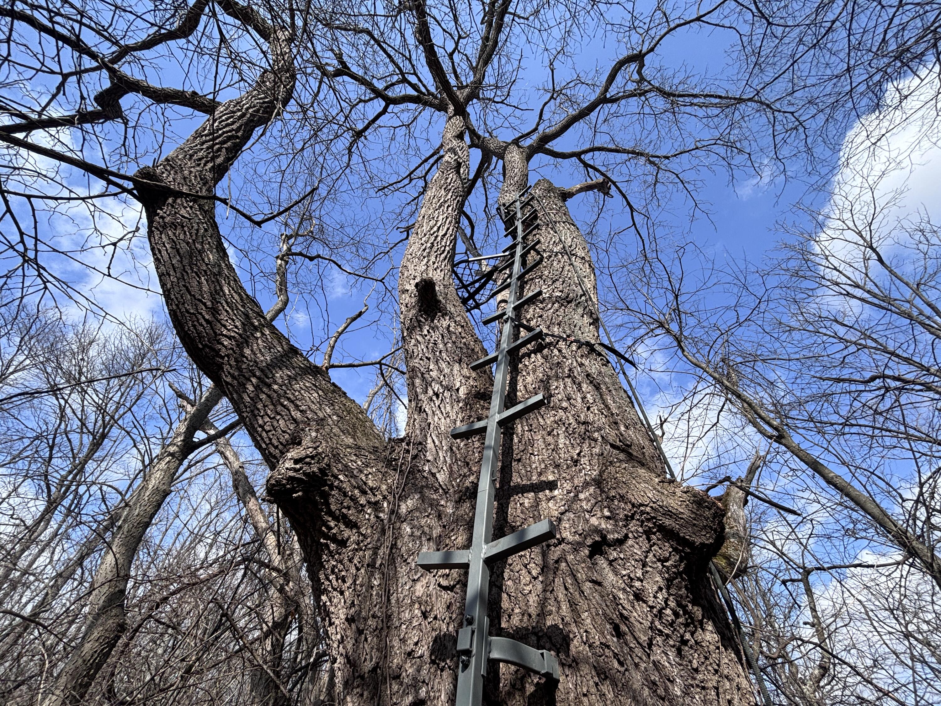 924 Eris Road, Urbana, Ohio 43078