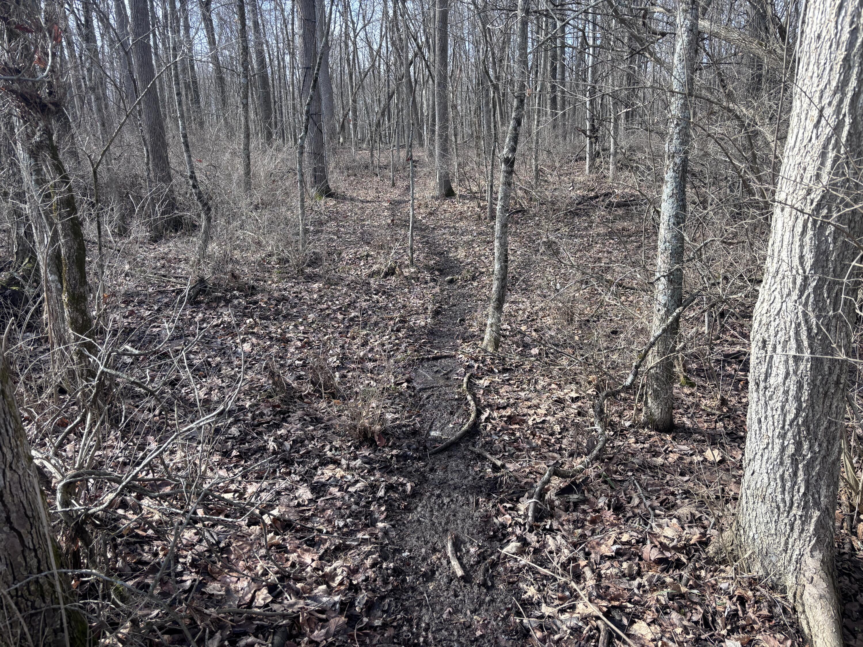 924 Eris Road, Urbana, Ohio 43078