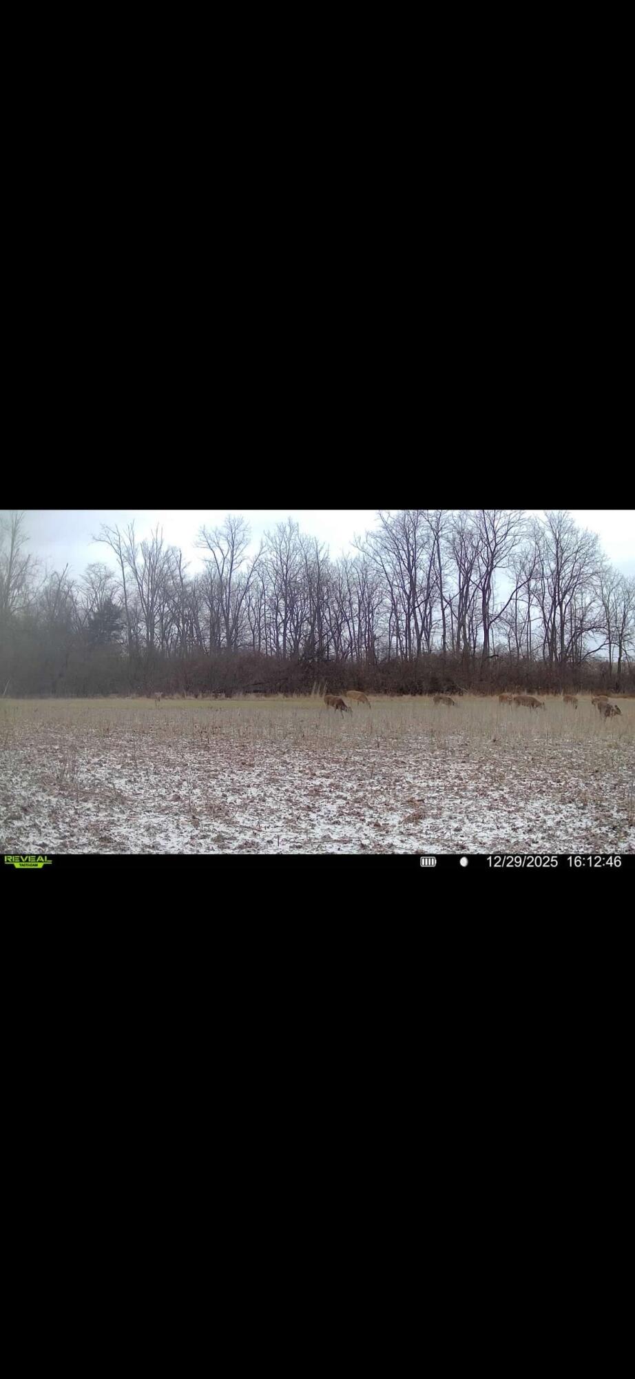 924 Eris Road, Urbana, Ohio 43078