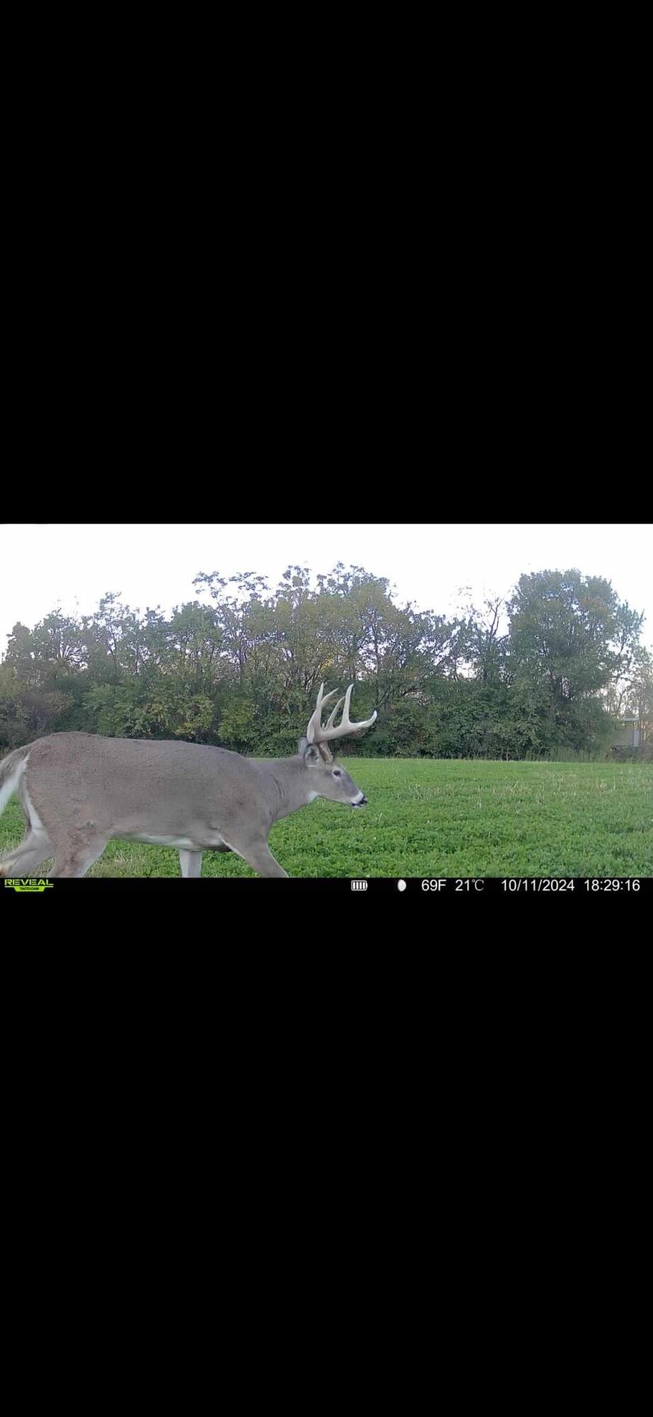 924 Eris Road, Urbana, Ohio 43078