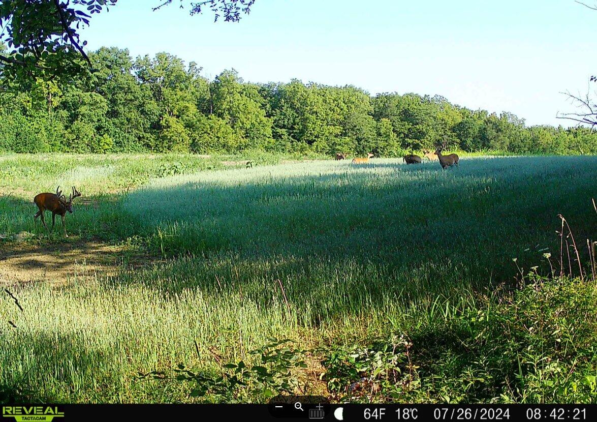 924 Eris Road, Urbana, Ohio 43078