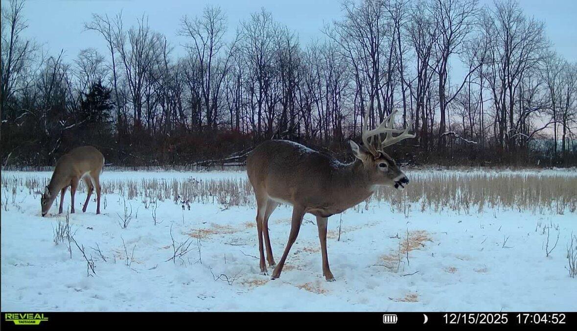 924 Eris Road, Urbana, Ohio 43078