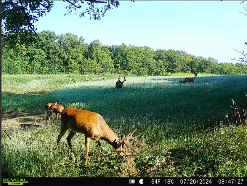 924 Eris Road, Urbana, Ohio 43078