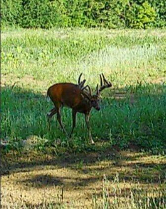 924 Eris Road, Urbana, Ohio 43078