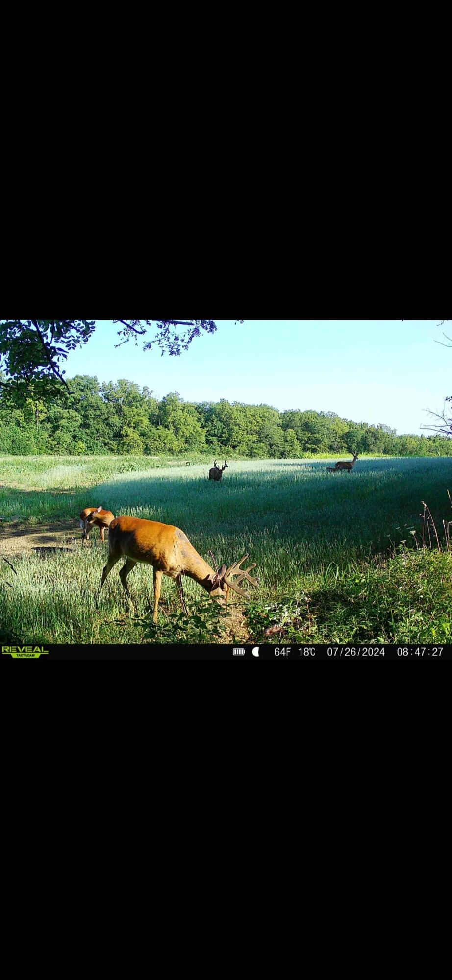 924 Eris Road, Urbana, Ohio 43078