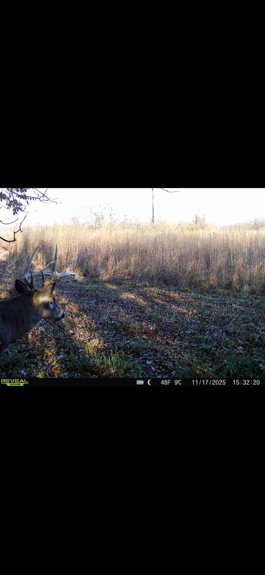 924 Eris Road, Urbana, Ohio 43078