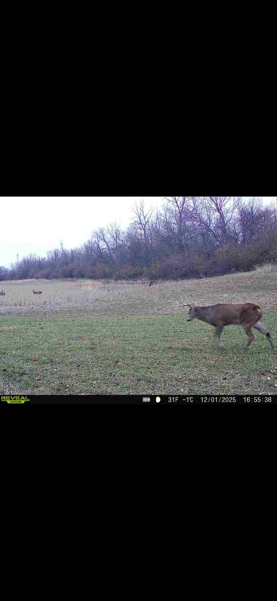 924 Eris Road, Urbana, Ohio 43078