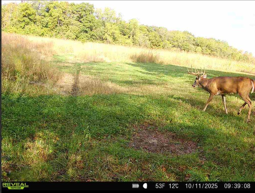 924 Eris Road, Urbana, Ohio 43078