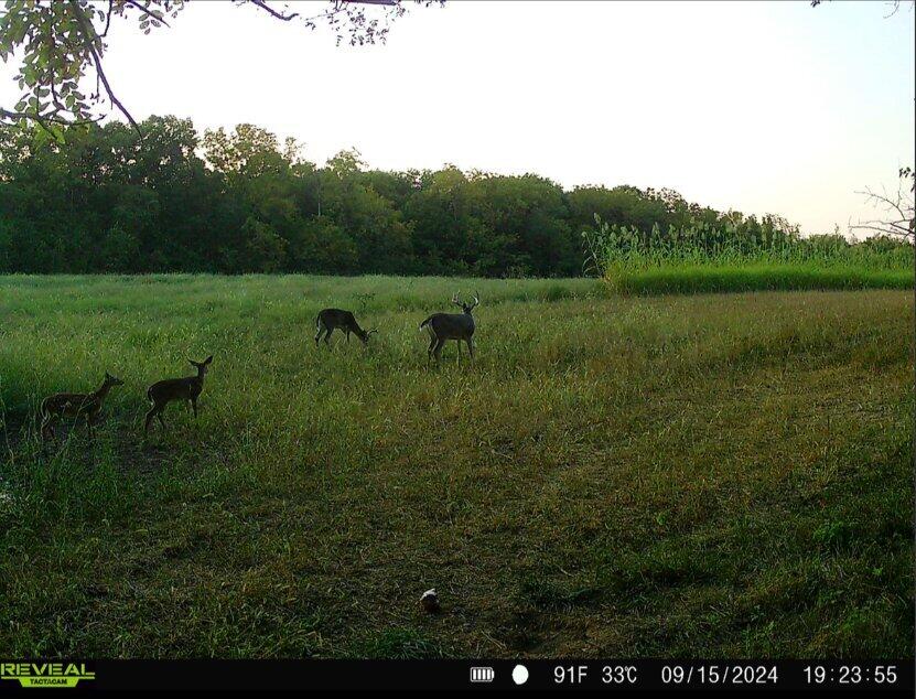 924 Eris Road, Urbana, Ohio 43078