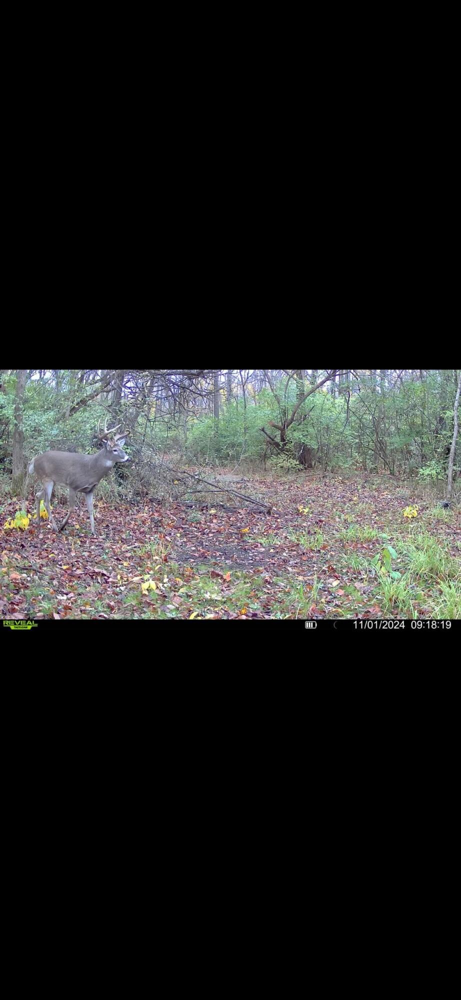 924 Eris Road, Urbana, Ohio 43078