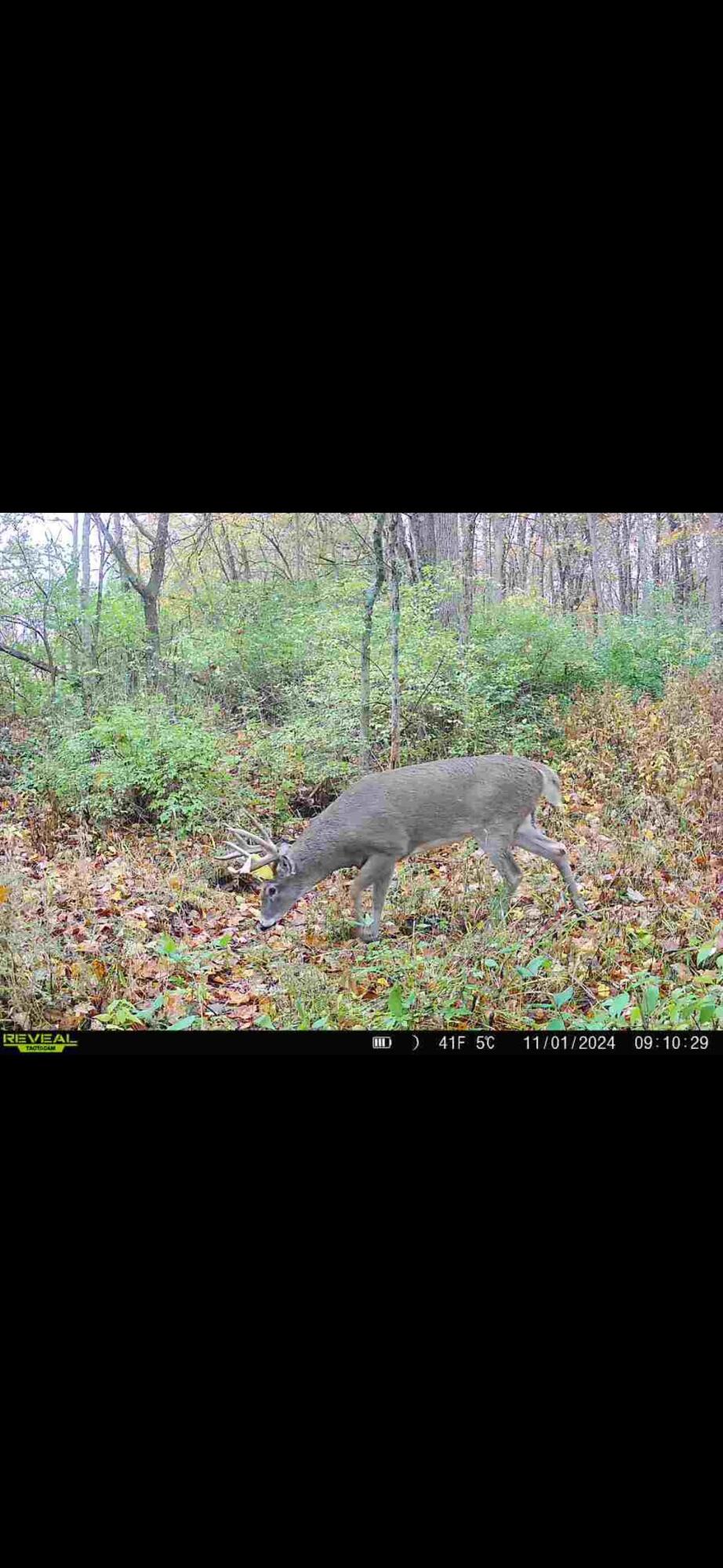 924 Eris Road, Urbana, Ohio 43078