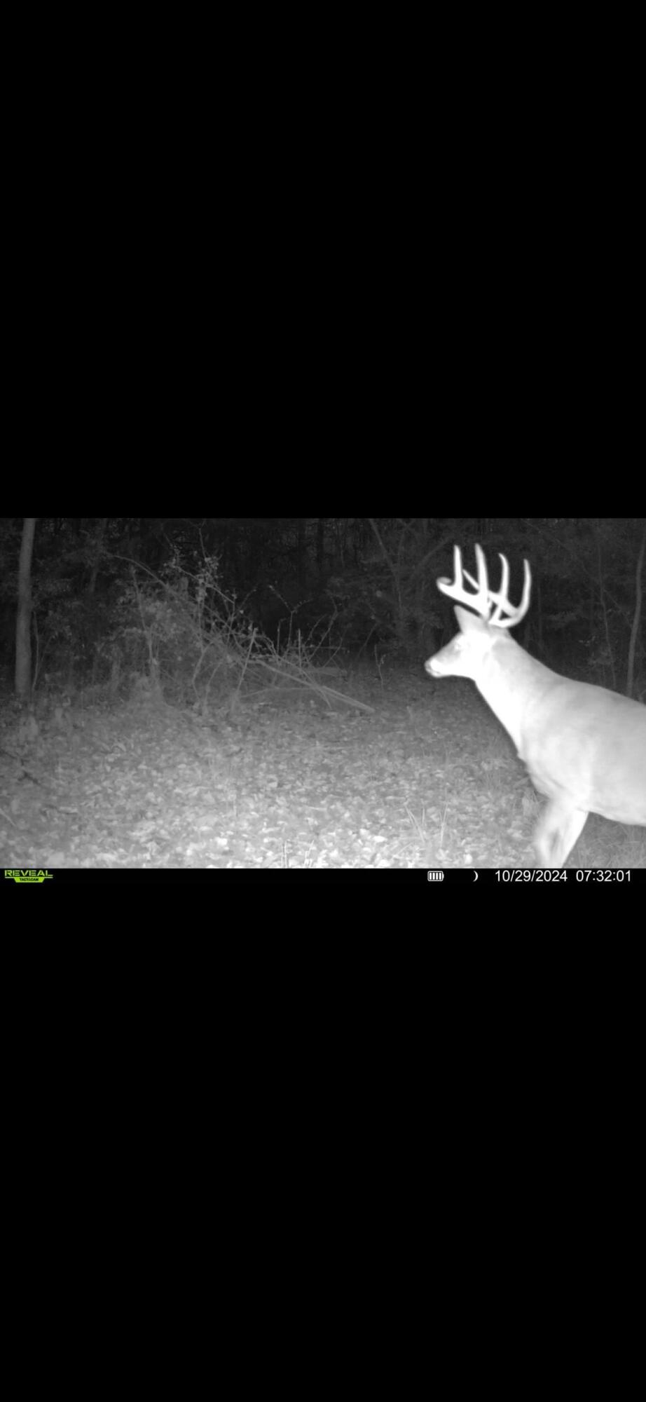 924 Eris Road, Urbana, Ohio 43078