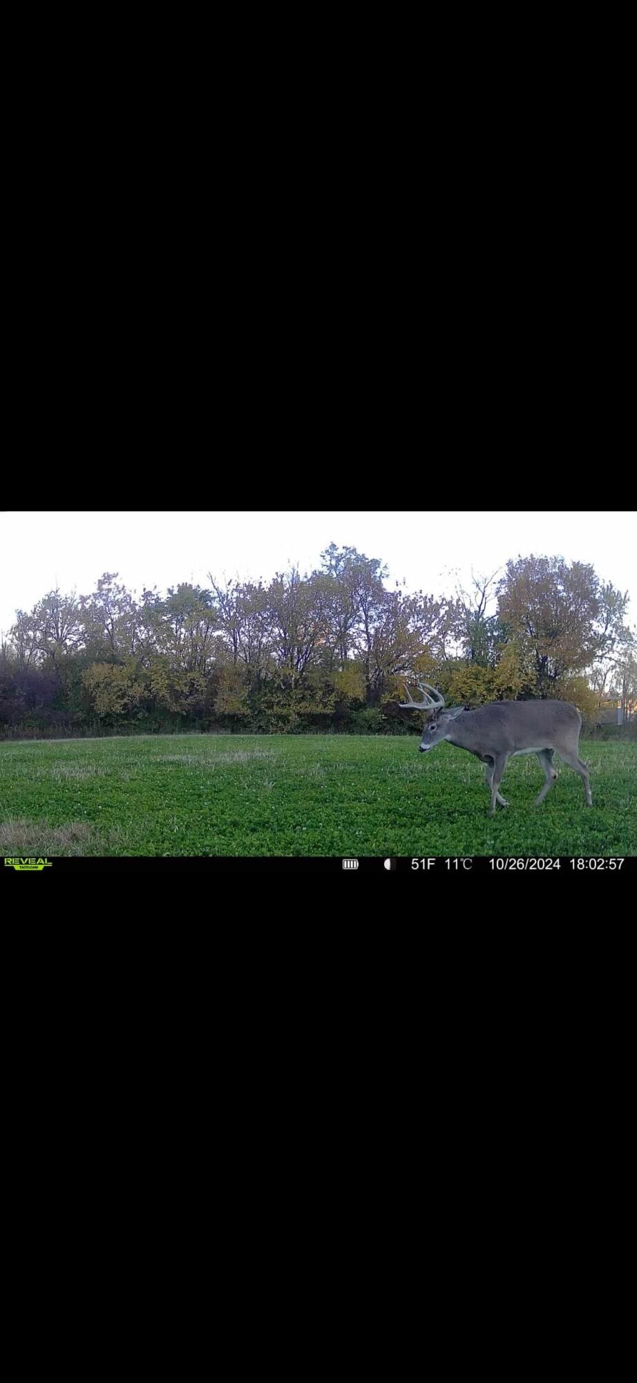 924 Eris Road, Urbana, Ohio 43078