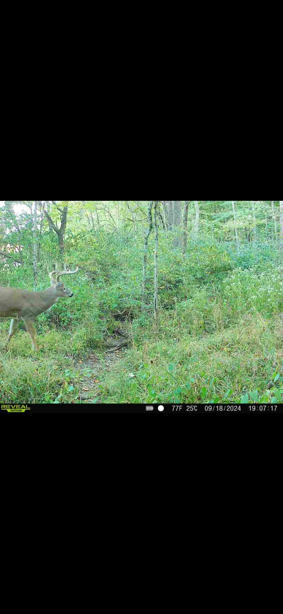 924 Eris Road, Urbana, Ohio 43078