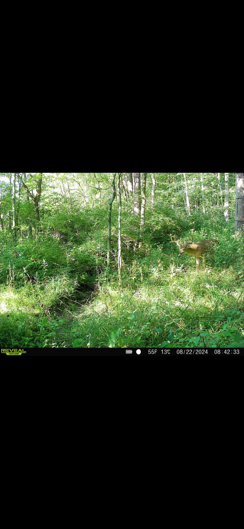 924 Eris Road, Urbana, Ohio 43078