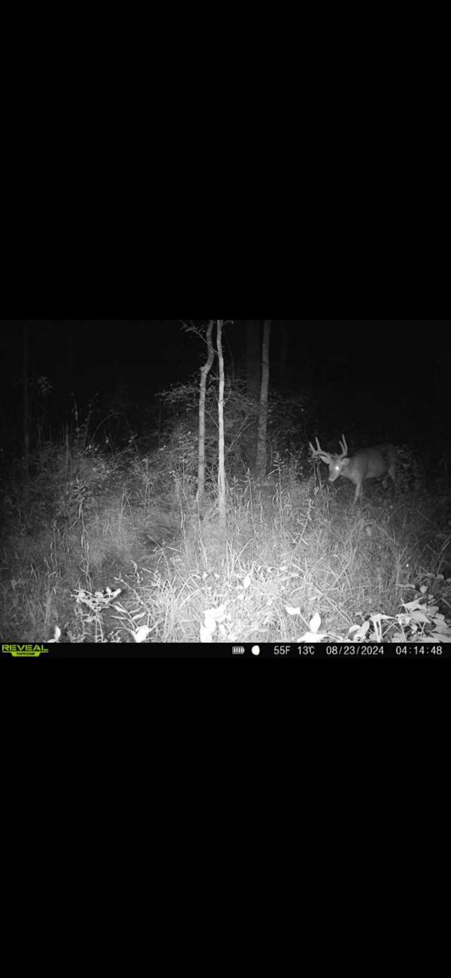 924 Eris Road, Urbana, Ohio 43078