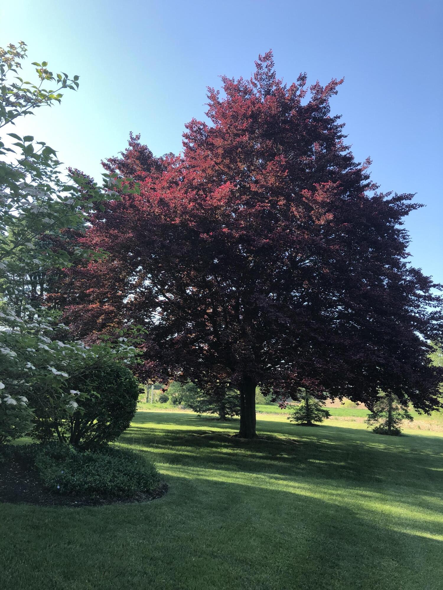 736 Arlington Road, Bellefontaine, Ohio 43311