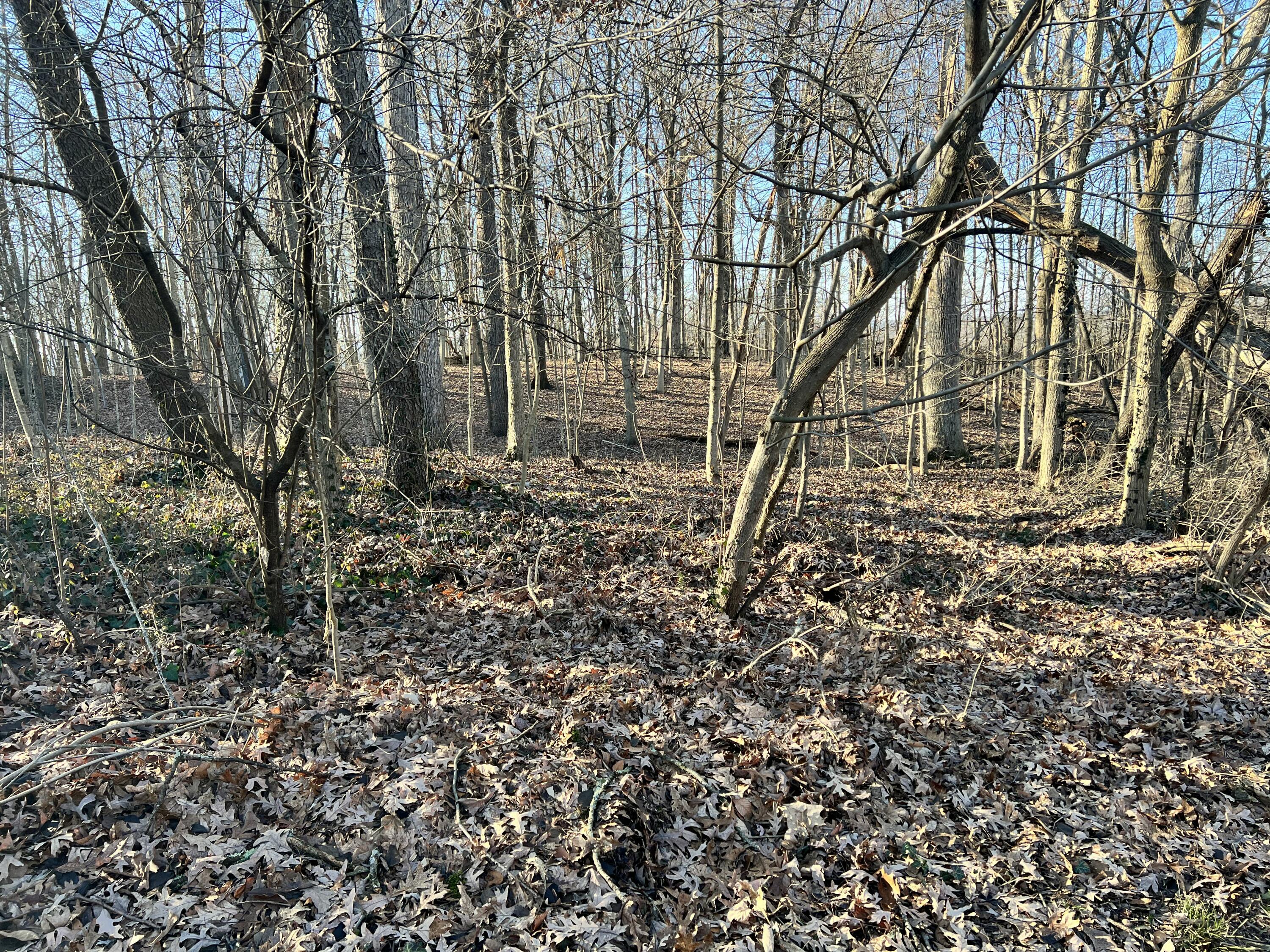 0 Burrwood Drive, Springfield, Ohio 45503