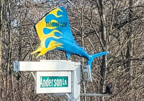 0 Anderson lots 10, 11 & 12 Lane, Celina, Ohio 45822, ,Land,For Sale,Anderson lots 10,11 & 12,1044138