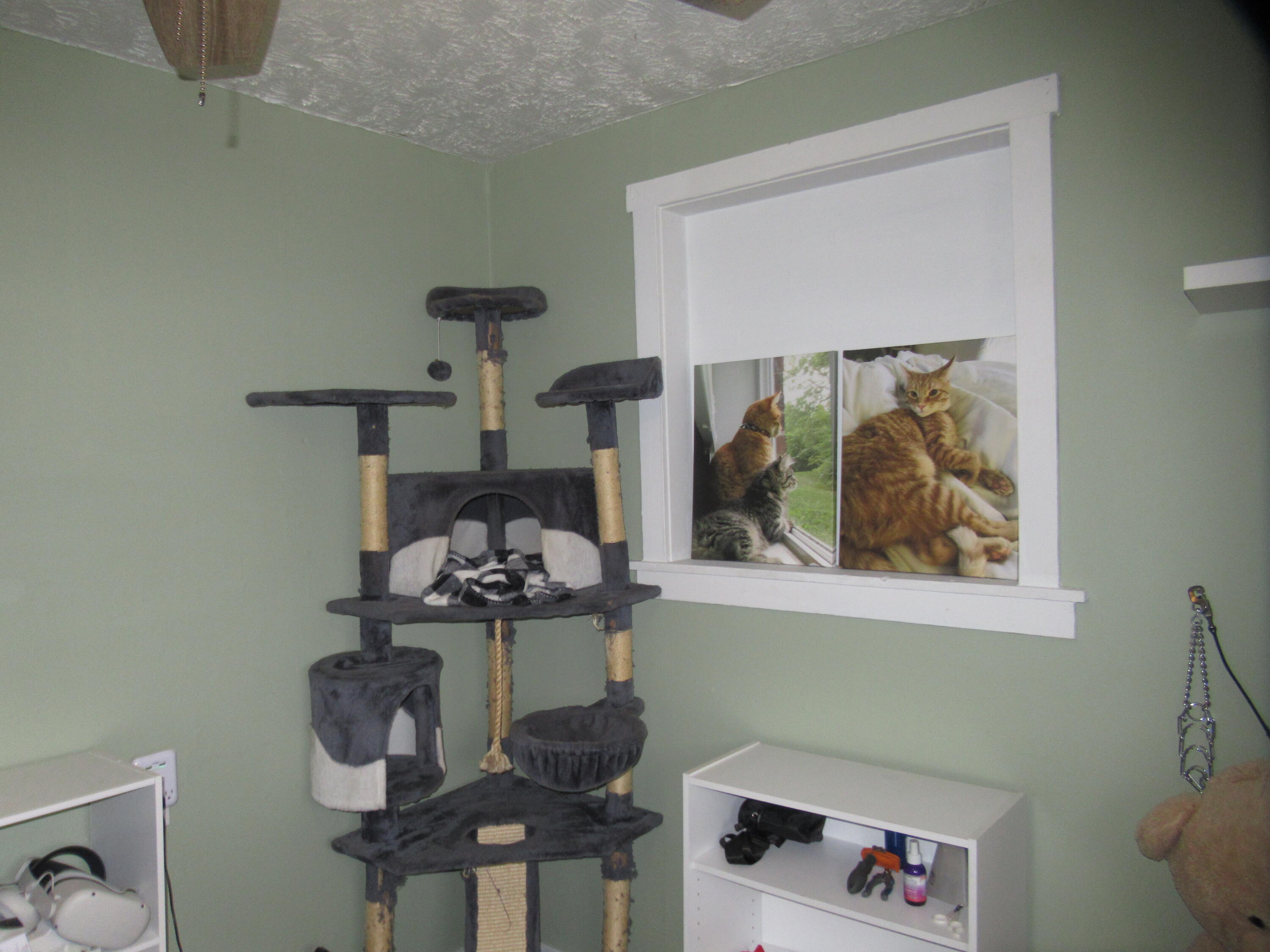 442 Orville Street, Fairborn, Ohio 45324