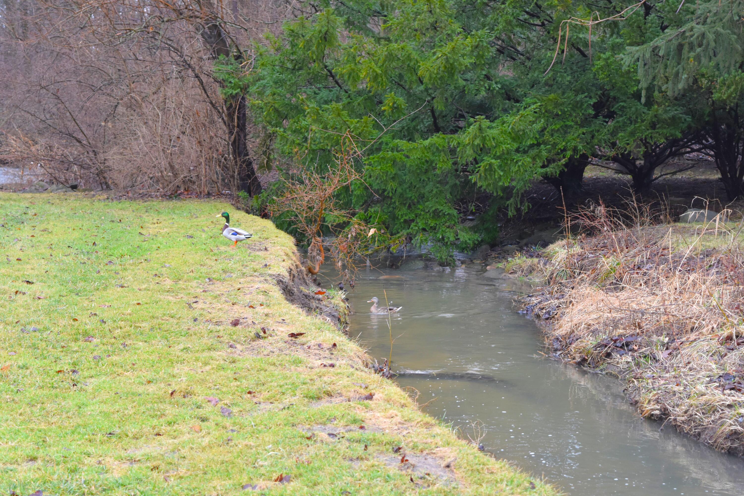 315 Sunset Drive, Piqua, Ohio 45356