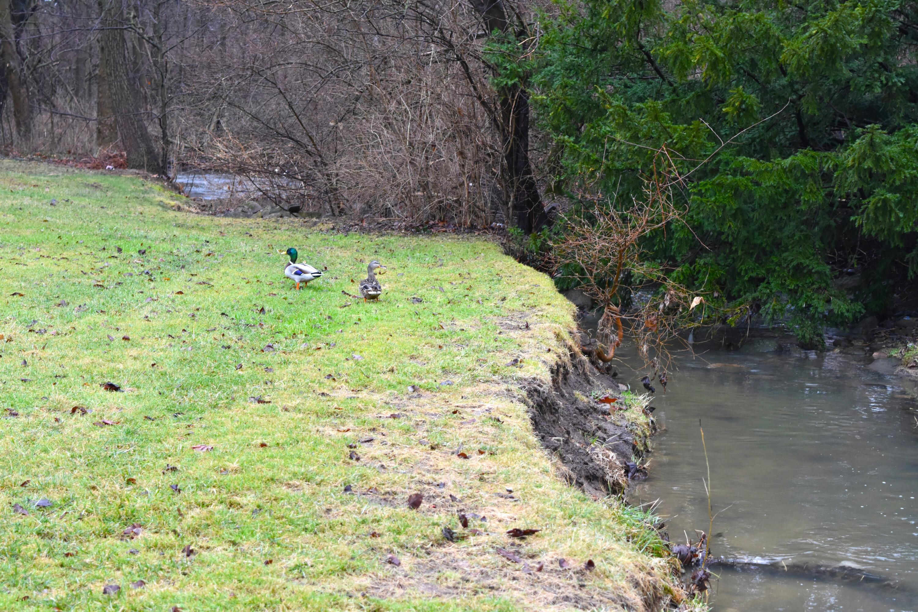 315 Sunset Drive, Piqua, Ohio 45356