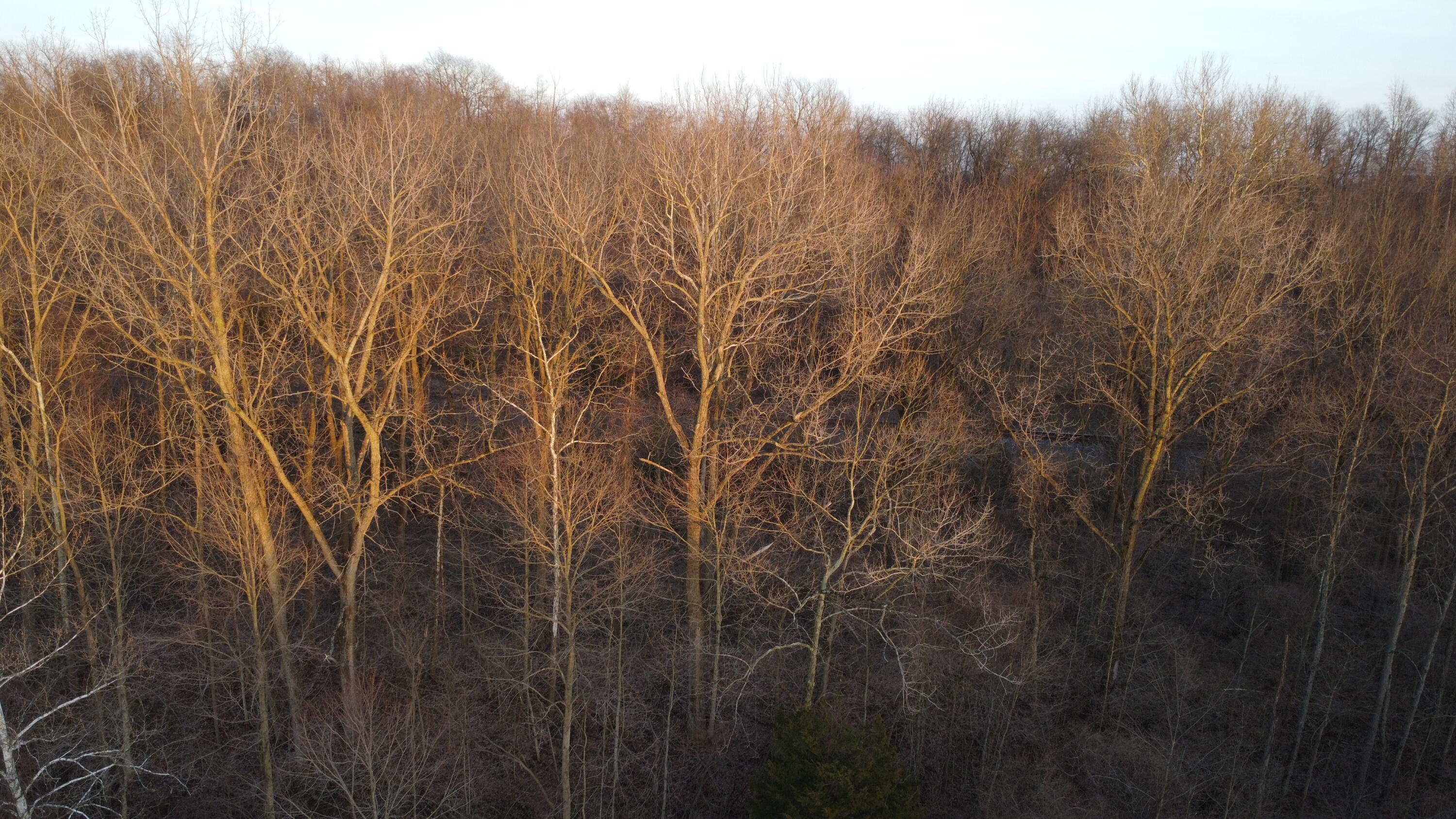 4050 River Road, Sidney, Ohio 45365