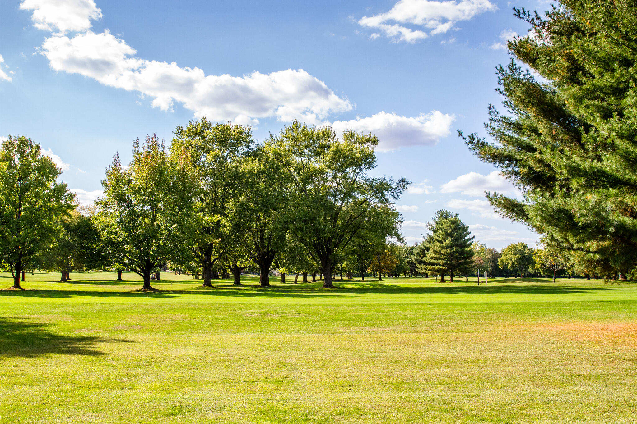 1922 Wedgewood Circle, Springfield, Ohio 45503