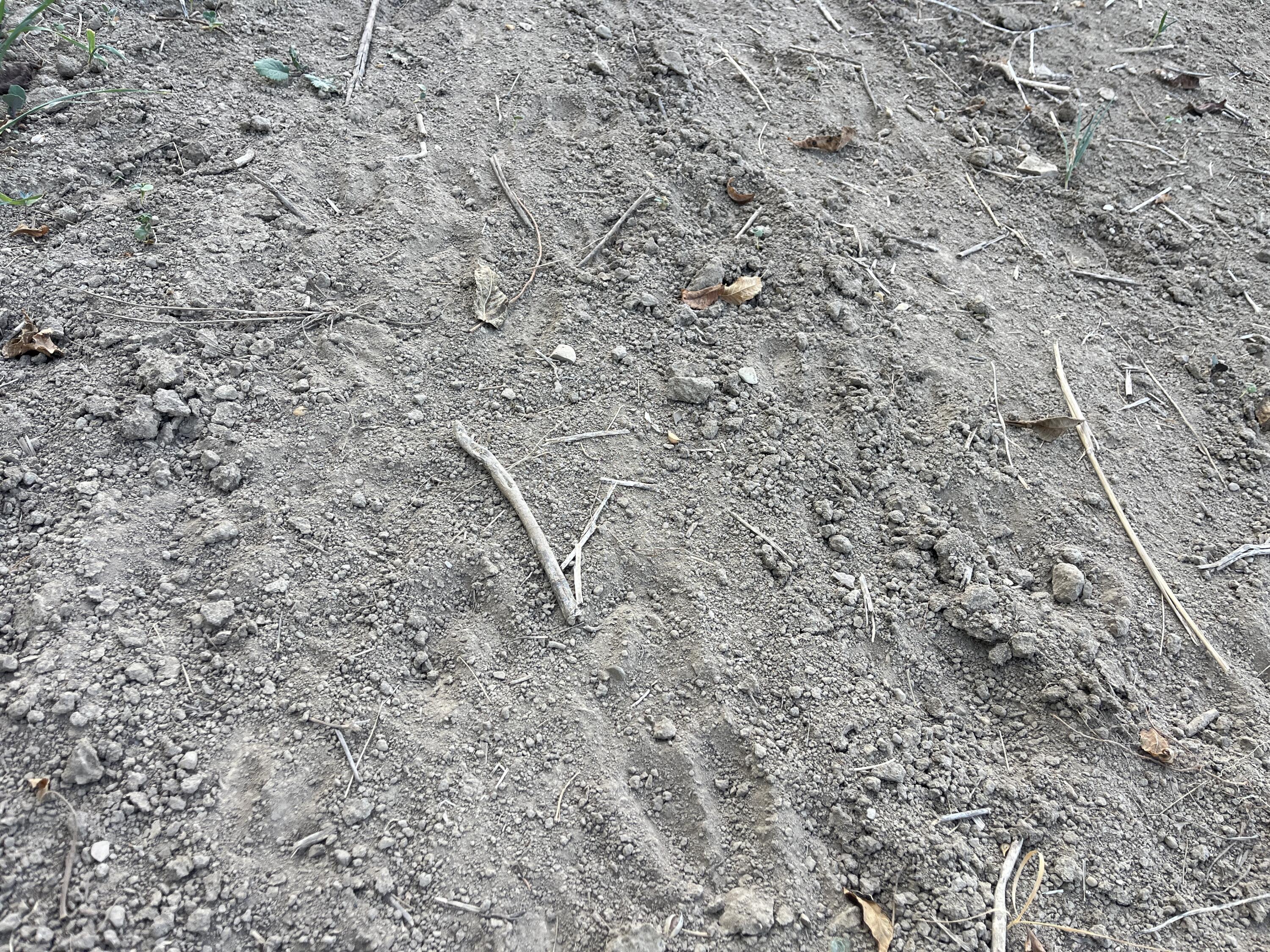 0 Township Hwy 127, Zanesfield, Ohio 43360