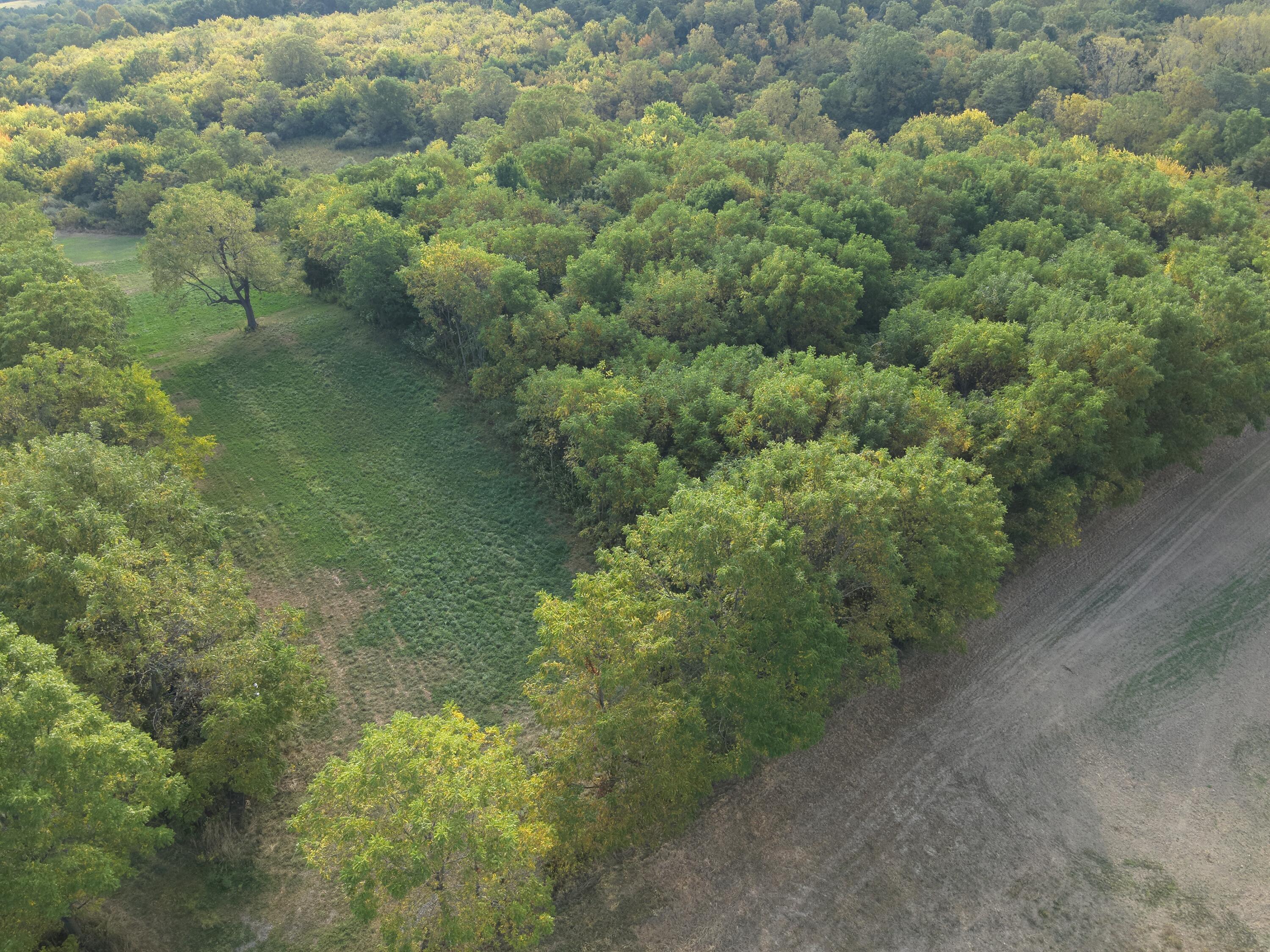 0 Township Hwy 127, Zanesfield, Ohio 43360