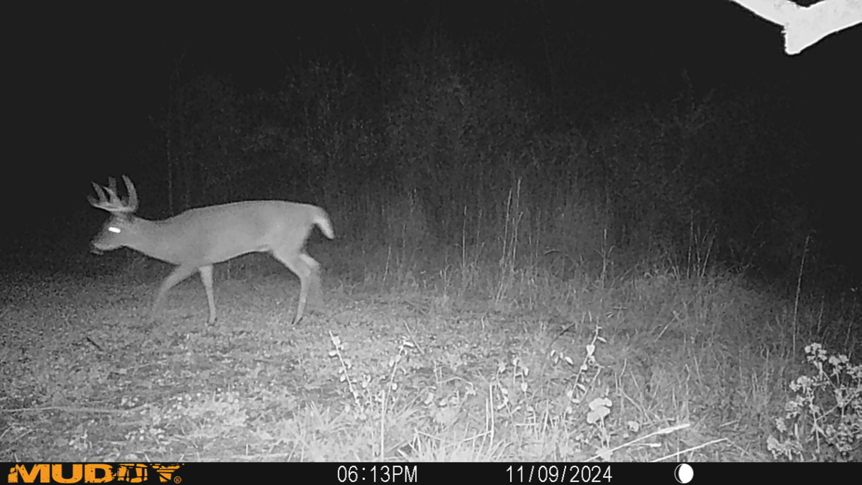 0 Township Hwy 127, Zanesfield, Ohio 43360