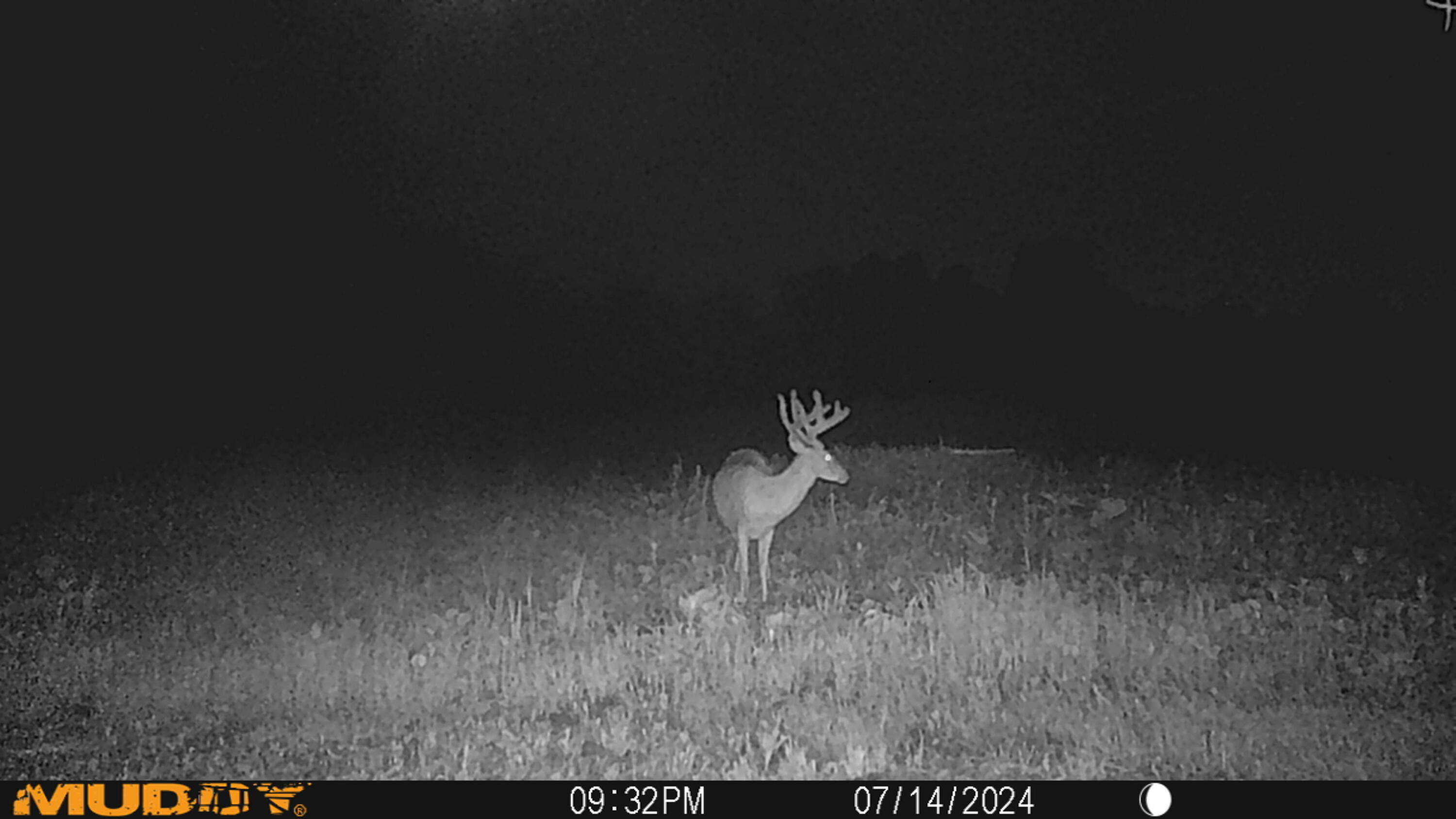 0 Township Hwy 127, Zanesfield, Ohio 43360