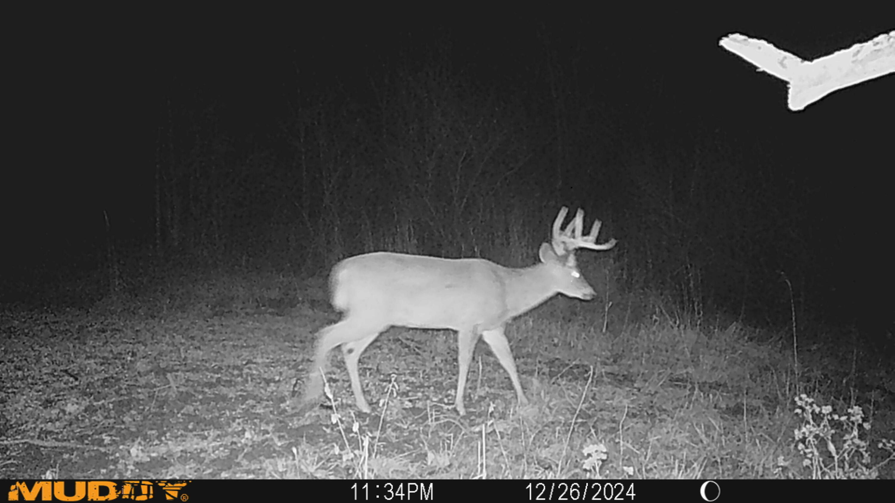 0 Township Hwy 127, Zanesfield, Ohio 43360