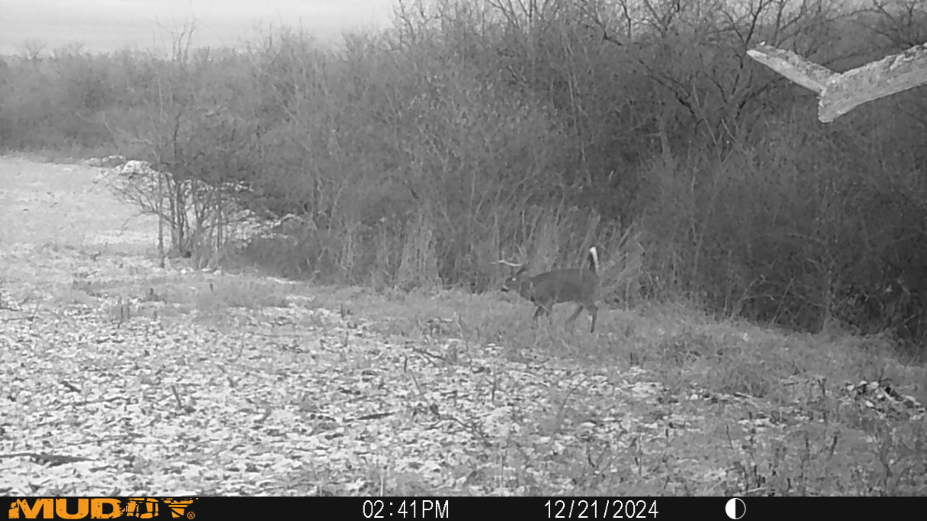 0 Township Hwy 127, Zanesfield, Ohio 43360