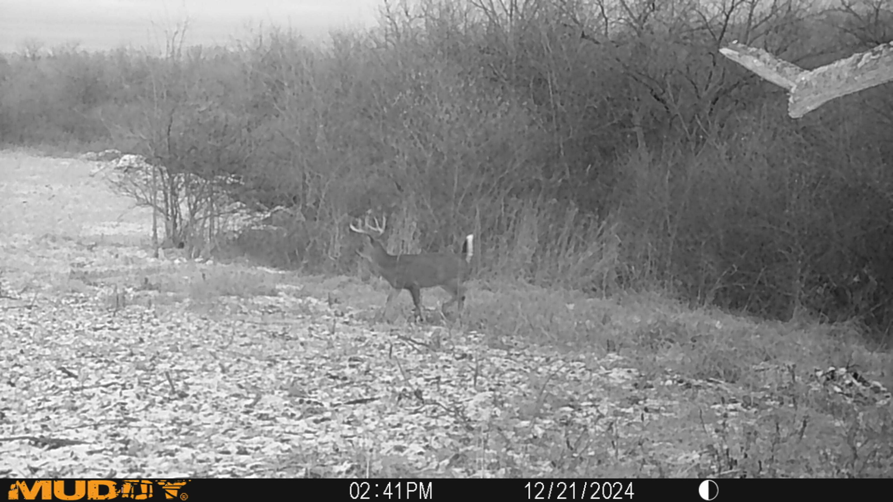 0 Township Hwy 127, Zanesfield, Ohio 43360