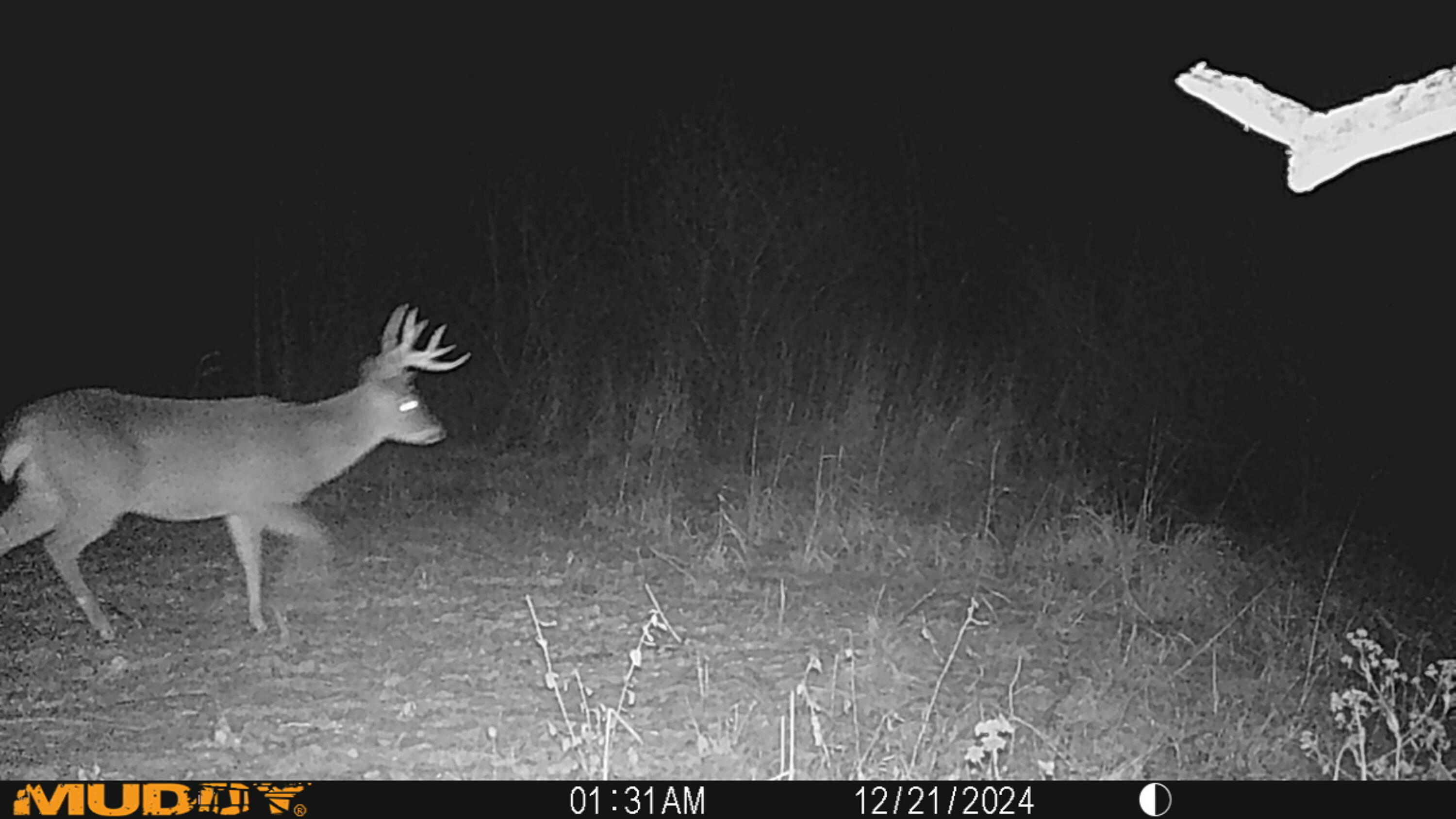 0 Township Hwy 127, Zanesfield, Ohio 43360