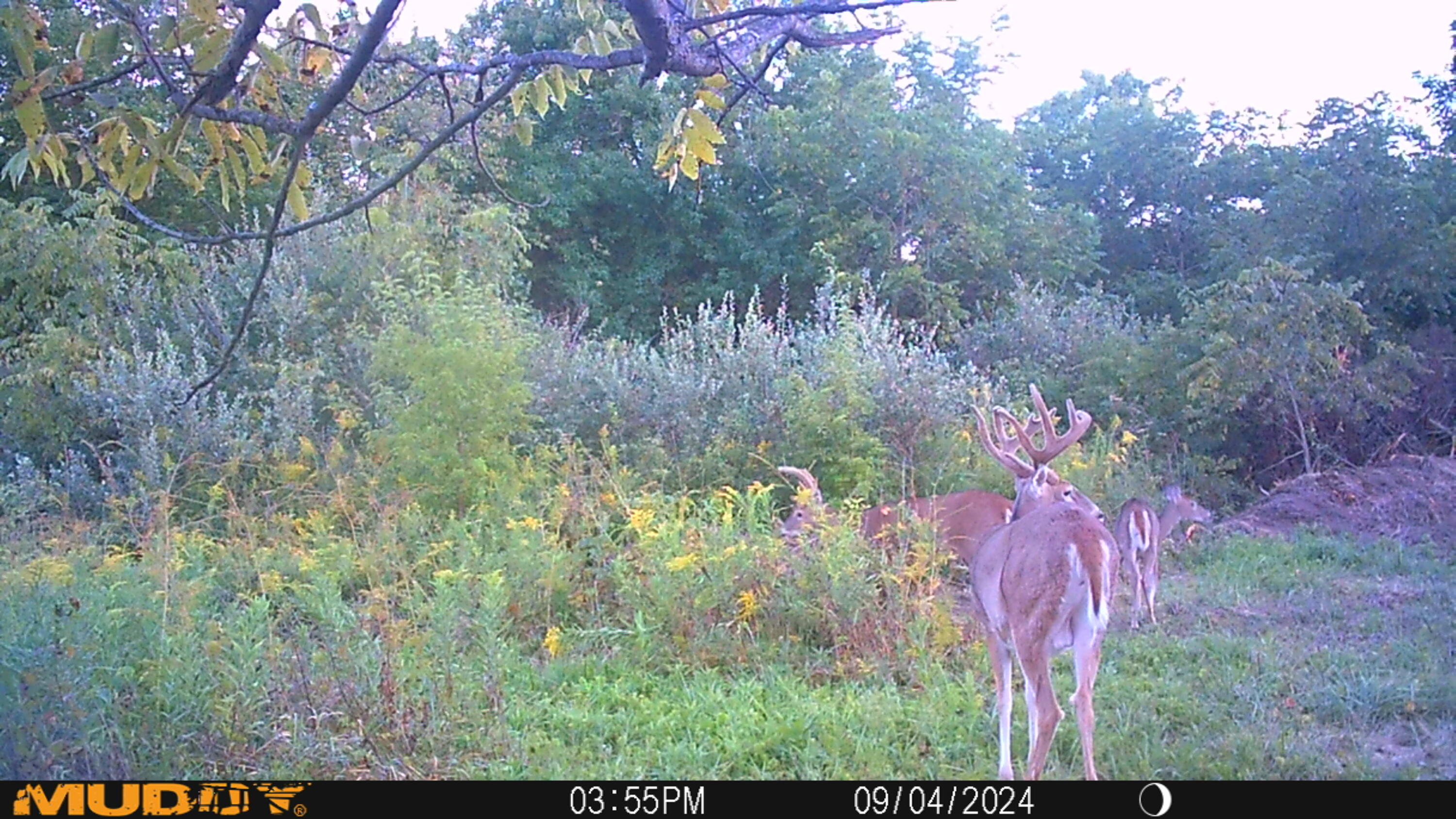 0 Township Hwy 127, Zanesfield, Ohio 43360