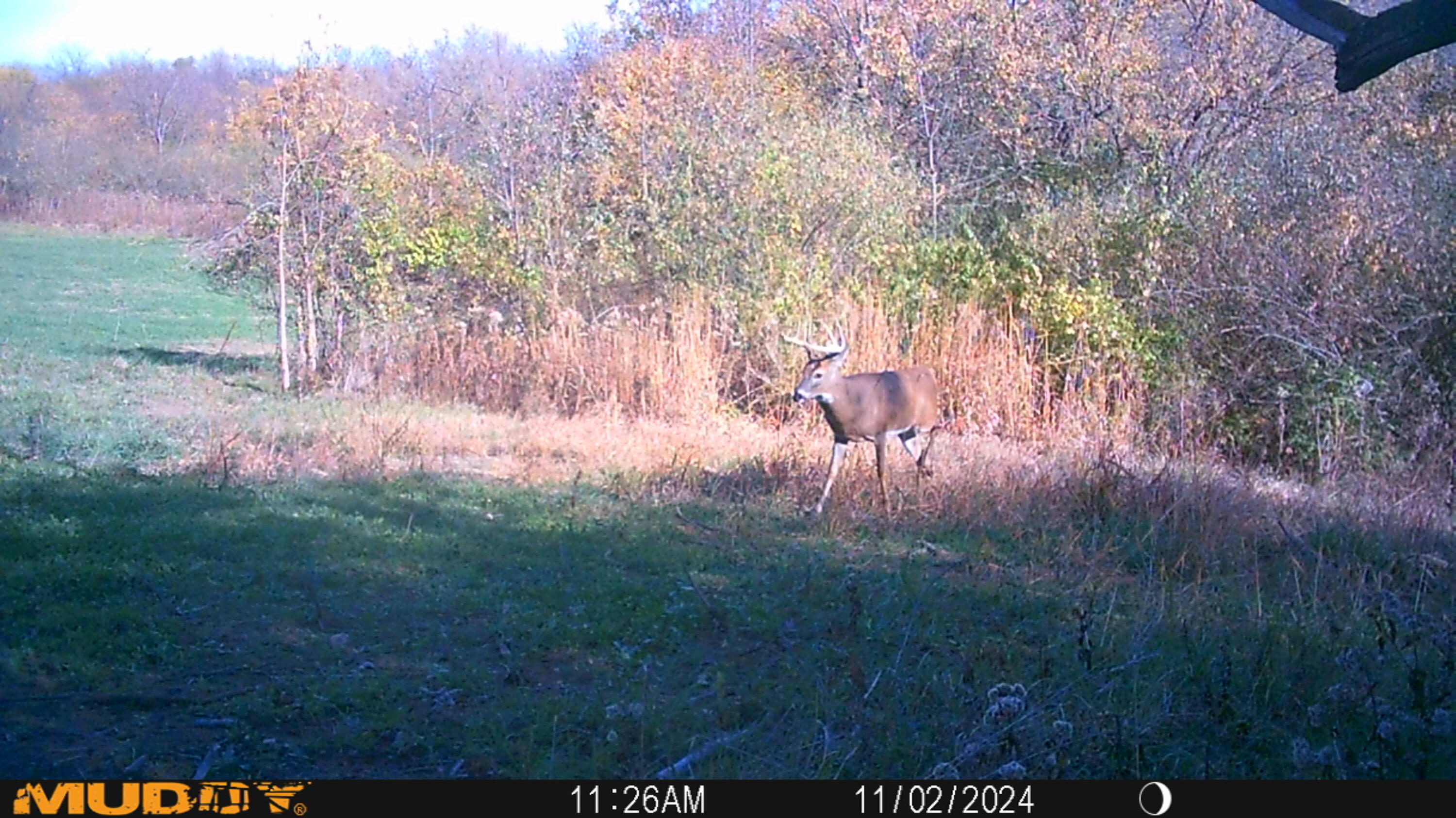 0 Township Hwy 127, Zanesfield, Ohio 43360